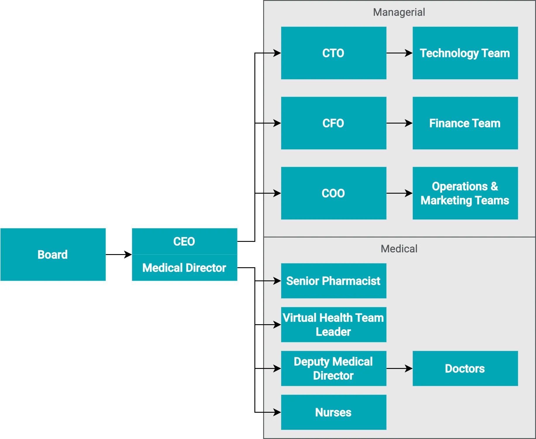 The organisational structure of Medmate, showing delineation between Managerial and Medical.
